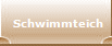 Schwimmteich