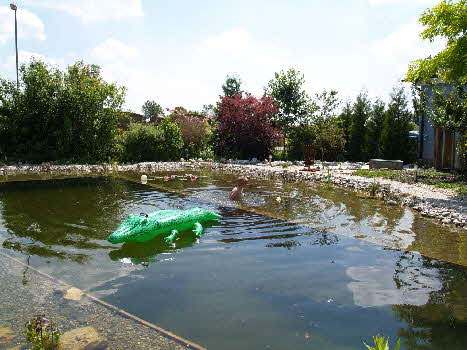 Schwimmteich mit Kinder